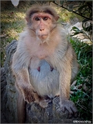 IMG_20250221_152033 (Copy)